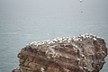 Bernhard Saalfeld - DSC02934.JPG