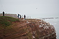 Bernhard Saalfeld - DSC02937.JPG