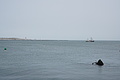 Bernhard Saalfeld - DSC02945.JPG