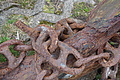 Bernhard Saalfeld - DSC02948.JPG