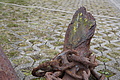 Bernhard Saalfeld - DSC02949.JPG
