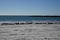 Bernhard Saalfeld - DSC03016.JPG