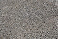 Bernhard Saalfeld - DSC03024.JPG