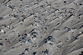 Bernhard Saalfeld - DSC03026.JPG