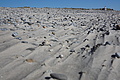Bernhard Saalfeld - DSC03028.JPG