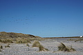 Bernhard Saalfeld - DSC03031.JPG