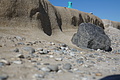 Bernhard Saalfeld - DSC03044.JPG