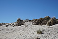 Bernhard Saalfeld - DSC03045.JPG