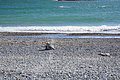 Bernhard Saalfeld - DSC03046.JPG
