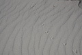 Bernhard Saalfeld - DSC03049.JPG
