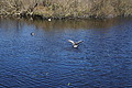 Bernhard Saalfeld - DSC03056.JPG