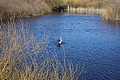 Bernhard Saalfeld - DSC03057.JPG