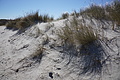 Bernhard Saalfeld - DSC03068.JPG