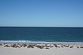 Bernhard Saalfeld - DSC03070.JPG