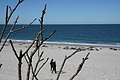 Bernhard Saalfeld - DSC03074.JPG