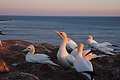Bernhard Saalfeld - DSC03091.JPG