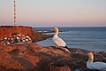 Bernhard Saalfeld - DSC03092.JPG