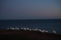 Bernhard Saalfeld - DSC03112.JPG