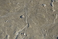 Bernhard Saalfeld - DSC03135.JPG