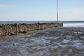 Bernhard Saalfeld - DSC03136.JPG
