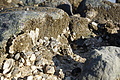 Bernhard Saalfeld - DSC03137.JPG