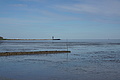 Bernhard Saalfeld - DSC03140.JPG
