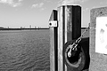 Bernhard Saalfeld - L1000559.JPG