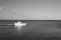 Bernhard Saalfeld - L1000564.JPG