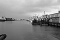 Bernhard Saalfeld - L1000613.JPG