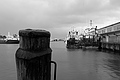 Bernhard Saalfeld - L1000614.JPG