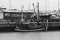 Bernhard Saalfeld - L1000621.JPG