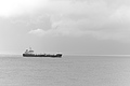 Bernhard Saalfeld - L1000626.JPG