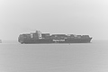 Bernhard Saalfeld - L1000630.JPG