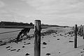 Bernhard Saalfeld - L1000643.JPG