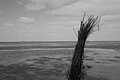 Bernhard Saalfeld - L1000651.JPG