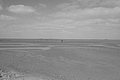 Bernhard Saalfeld - L1000652.JPG