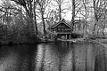 Bernhard Saalfeld - L1000658.JPG