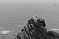 Bernhard Saalfeld - L1000712.JPG
