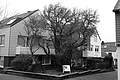Bernhard Saalfeld - L1000725.JPG