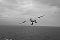 Bernhard Saalfeld - L1000732.JPG