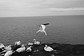Bernhard Saalfeld - L1000733.JPG