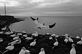 Bernhard Saalfeld - L1000735.JPG