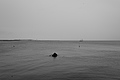 Bernhard Saalfeld - L1000746.JPG