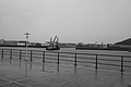 Bernhard Saalfeld - L1000755.JPG
