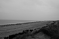Bernhard Saalfeld - L1000757.JPG