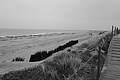 Bernhard Saalfeld - L1000758.JPG