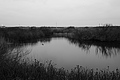 Bernhard Saalfeld - L1000759.JPG