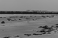 Bernhard Saalfeld - L1000764.JPG