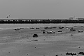 Bernhard Saalfeld - L1000765.JPG