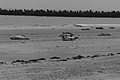 Bernhard Saalfeld - L1000766.JPG